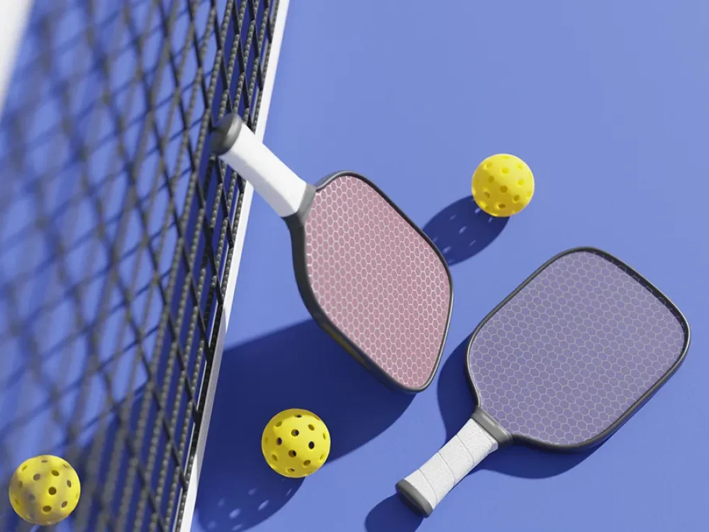 pickleball-paddle-court